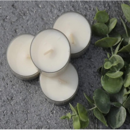 4hr Soy Tealights (2026)